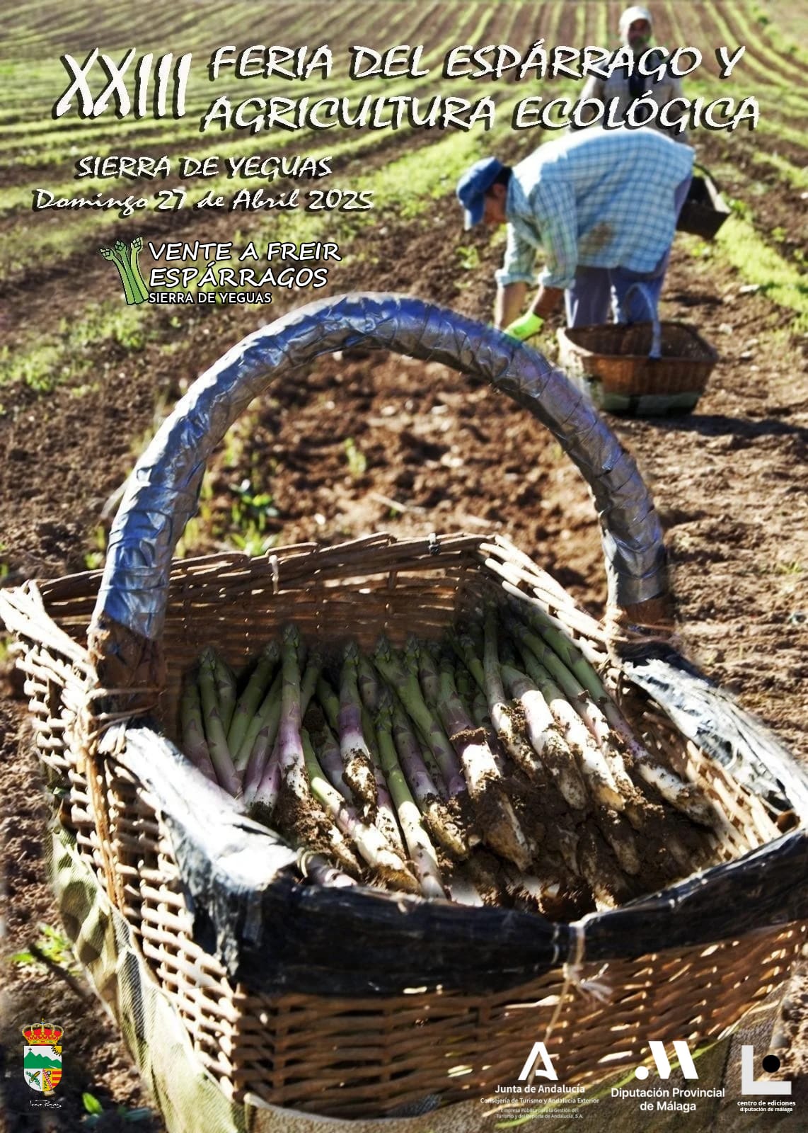 La XXIII Feria del Espárrago y la Agricultura Ecológica se celebra en Sierra de Yeguas, Málaga