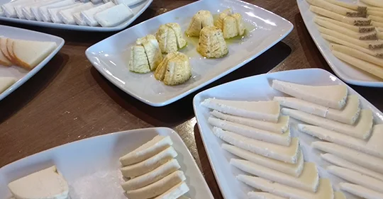 Quesería Queso Montefrieño