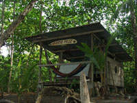 Mono Feliz Panamá