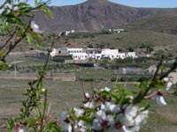 Hospedería Rural Los Palmitos