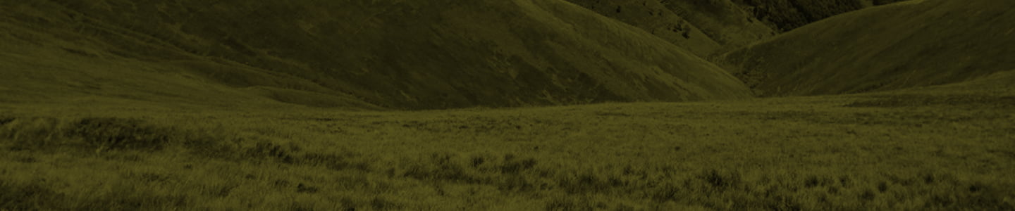 Turismo Rural